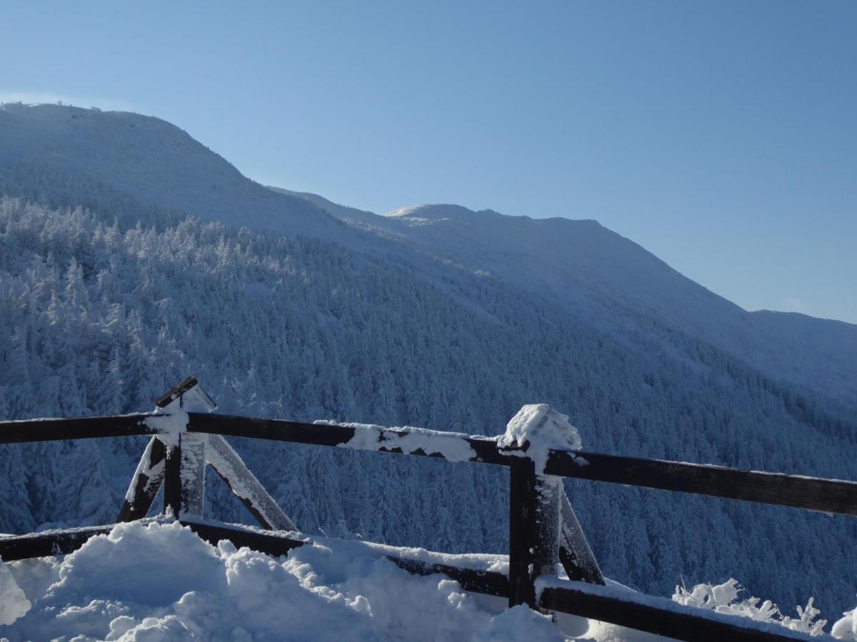 Pokoje Goscinne - Za Borem Zubrzyca Gorna Exteriör bild