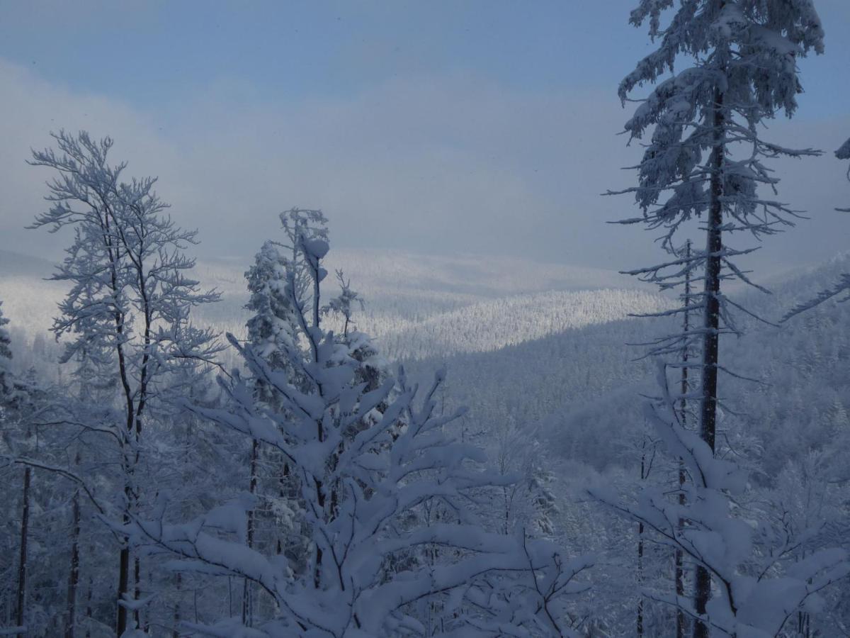 Pokoje Goscinne - Za Borem Zubrzyca Gorna Exteriör bild