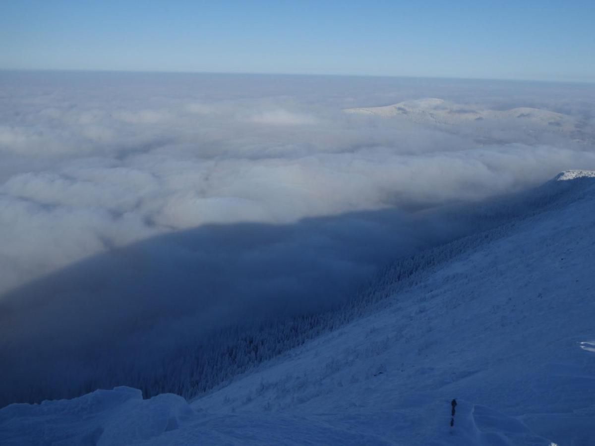 Pokoje Goscinne - Za Borem Zubrzyca Gorna Exteriör bild