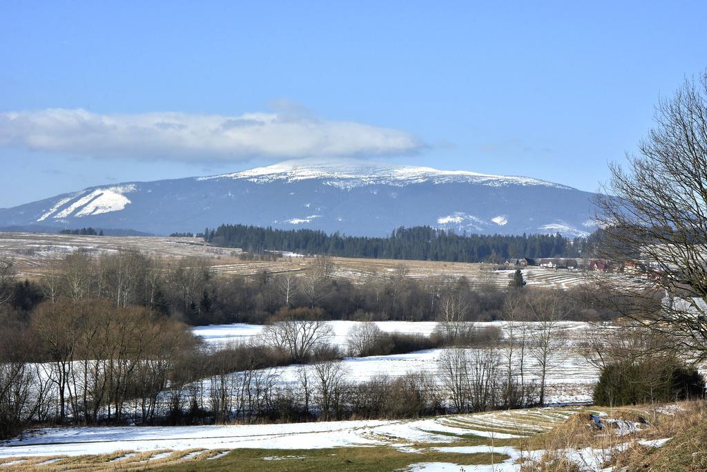 Pokoje Goscinne - Za Borem Zubrzyca Gorna Exteriör bild