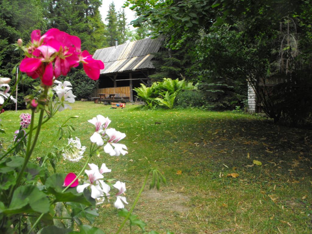 Pokoje Goscinne - Za Borem Zubrzyca Gorna Exteriör bild