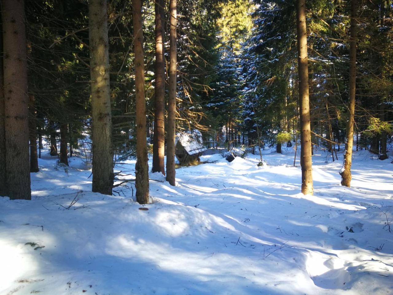 Pokoje Goscinne - Za Borem Zubrzyca Gorna Exteriör bild