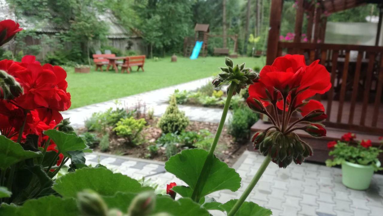 Pokoje Goscinne - Za Borem Zubrzyca Gorna Exteriör bild